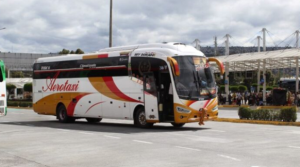 buses01